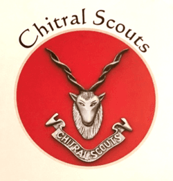 Chitral Scout Hospital logo