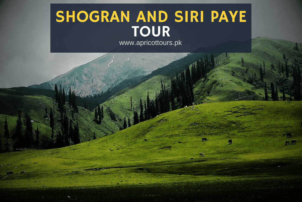 Shogran Siri paye Tour logo