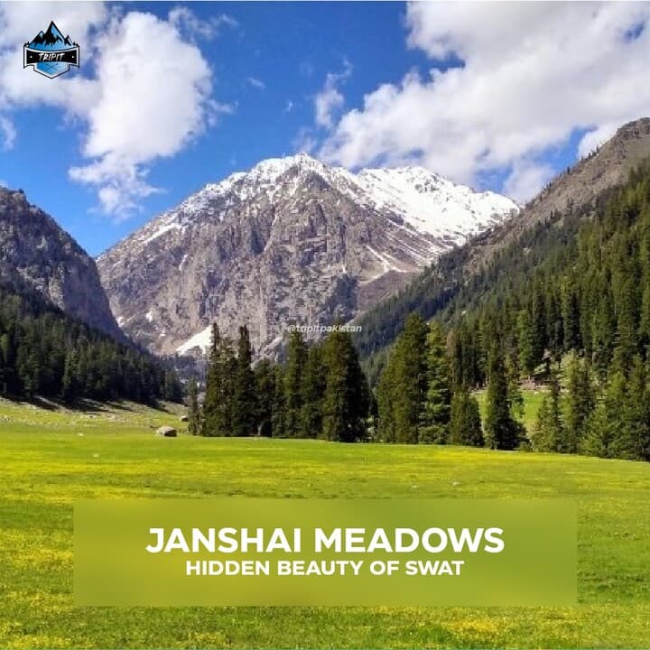 Janshae Meadows logo